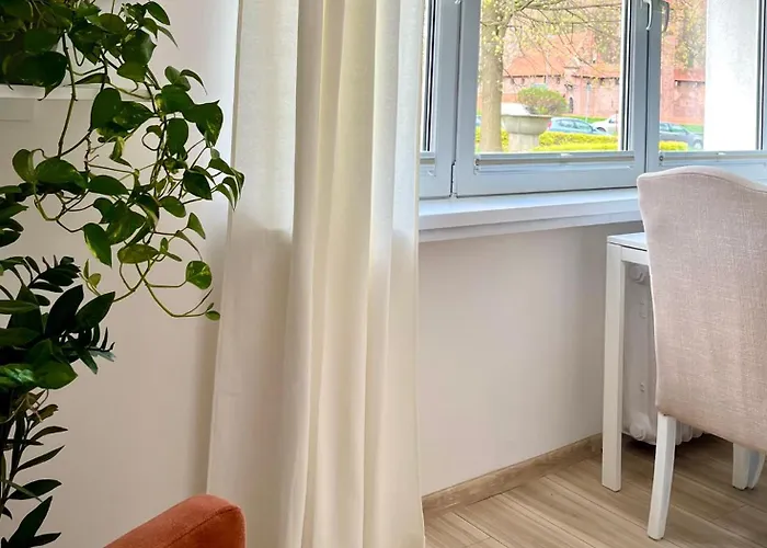 Przy Zamku - Widok, Centrum Malbork